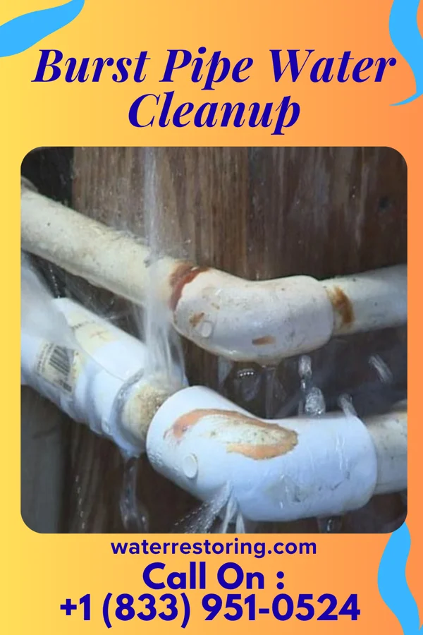 Burst Pipe Water Cleanup in North Patchogue, NY