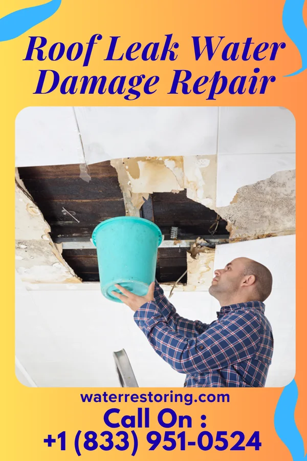 Roof Leak Water Damage Repair in North Patchogue, NY