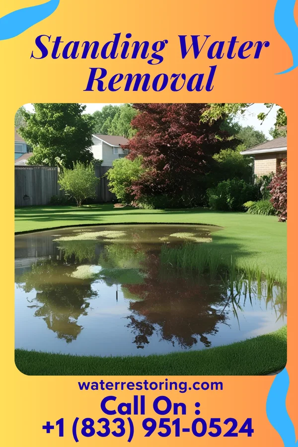 Standing Water Removal in North Patchogue, NY